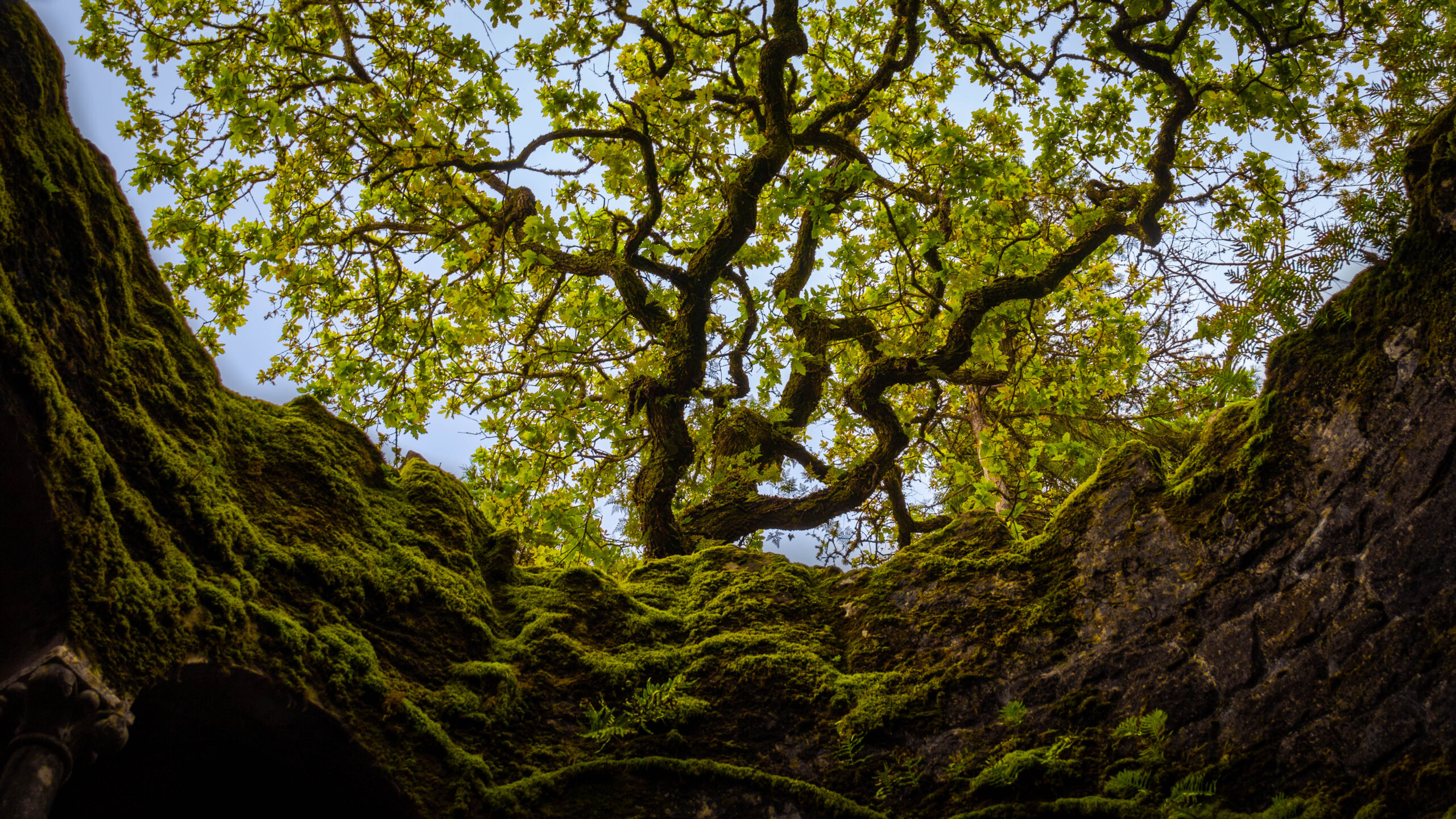 Contact avocat fiscaliste Strasbourg